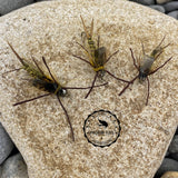 Neo twenty Incher Stonefly Nymph Fly pattern top view sizes 8, 10 and 12